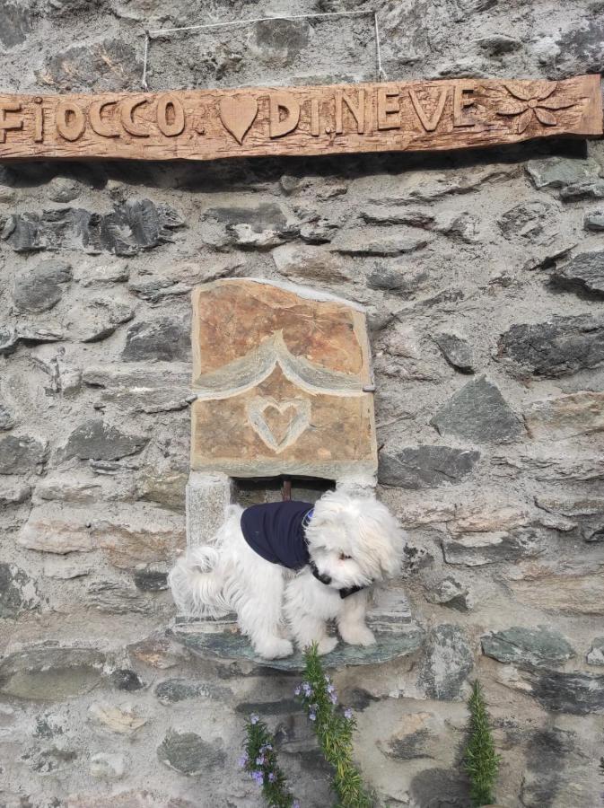 Ferienwohnung Fiocco Di Neve Montjovet Exterior foto